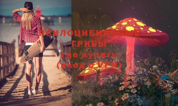 МДПВ Балахна