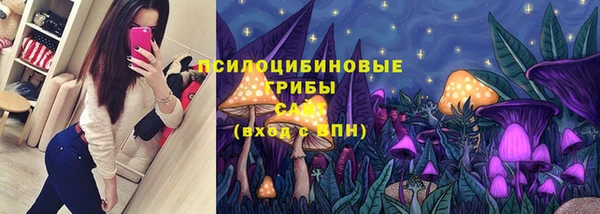 apvp Баксан
