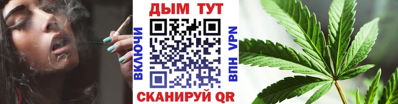 Канабис сатива  закладки  Курлово 